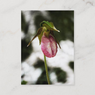 Lady's Slipper #8299 Mini Print Visitenkarte