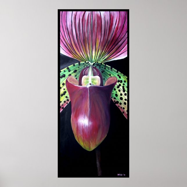 Lady's Slipper Orchid Poster (Vorne)