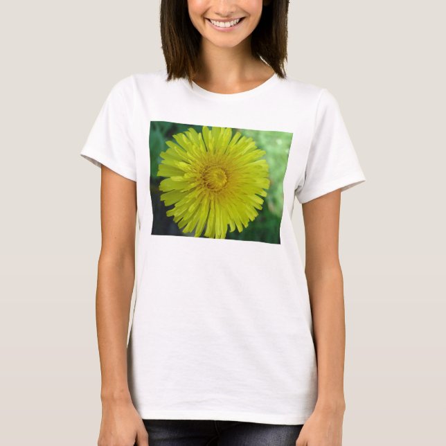 Ladys T - Shirt - Lüster (Vorderseite)