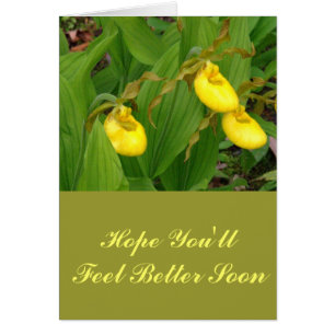 "LADYSLIPPERS JAUNES" /PHOTO FLORALE