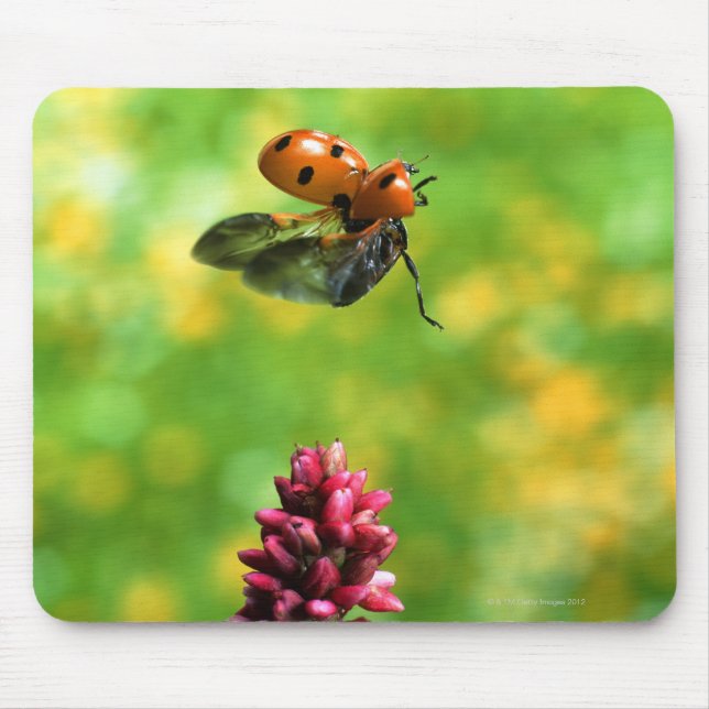 Ladyvogel Mousepad (Vorne)