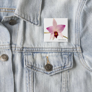 Laelia Ancep Button