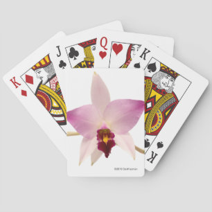 Laelia Ancep Spielkarten