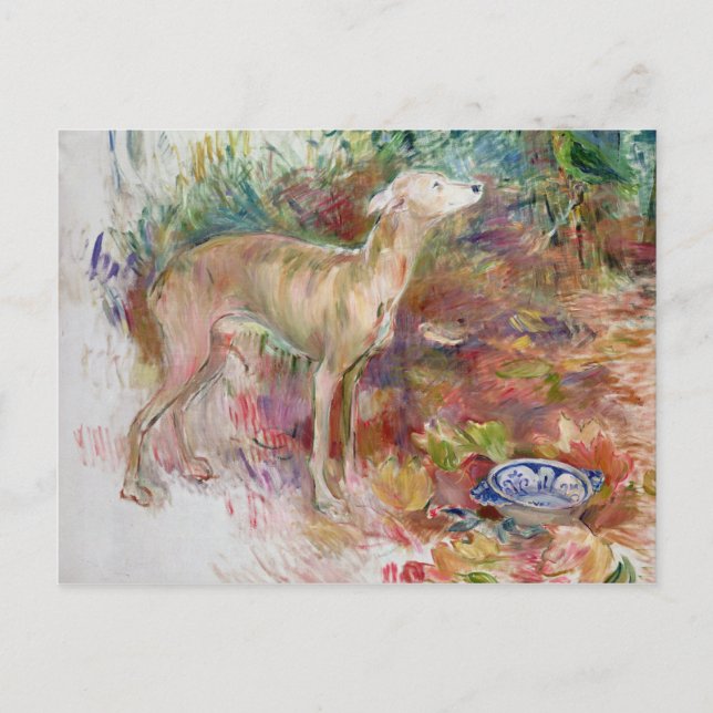 Laerte the Greyhound, 1894 Postkarte (Vorderseite)