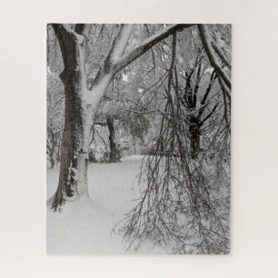 Lafayette Square, Washington, DC, Winterbäume