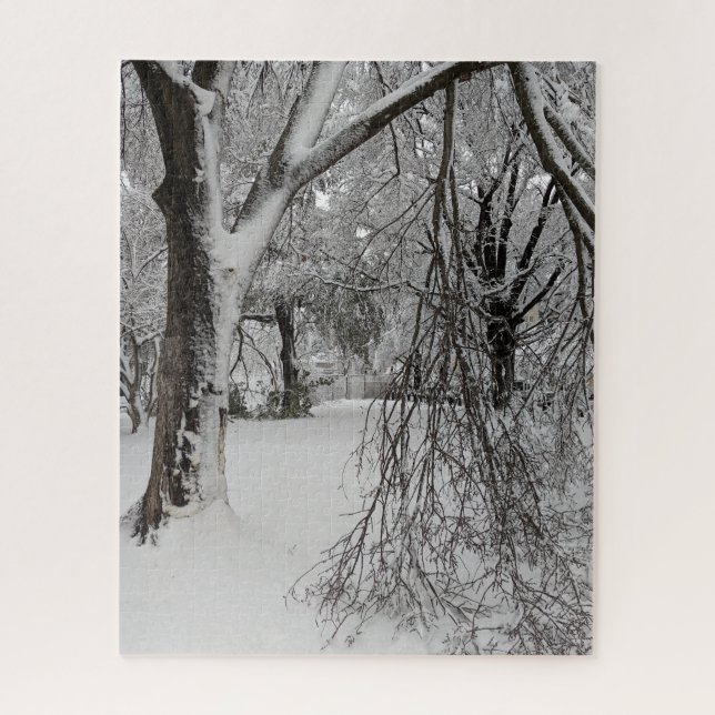 Lafayette Square, Washington, DC, Winterbäume (Vertikal)