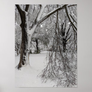 Lafayette Square, Washington, DC, Winterbäume Poster