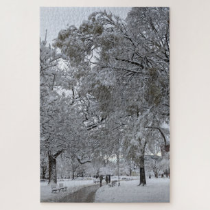Lafayette Square, Washington, DC, Winterweg