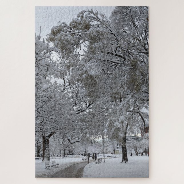 Lafayette Square, Washington, DC, Winterweg (Vertikal)
