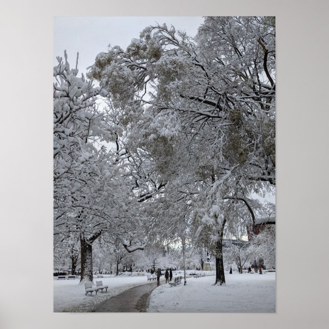Lafayette Square, Washington, DC, Winterweg Poster (Vorne)