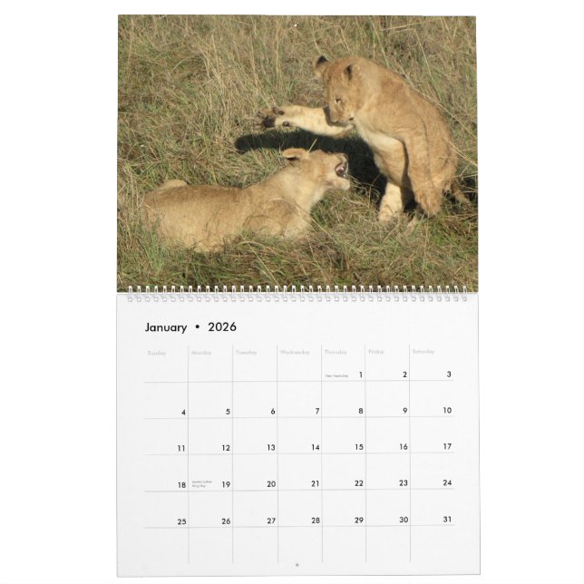 L'AFRIQUE - de calendrier 2014 (Deux-Page million (Jan 2026)