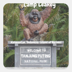 Lager Leakey Tanjung, das Nationalpark setzt Quadratischer Aufkleber
