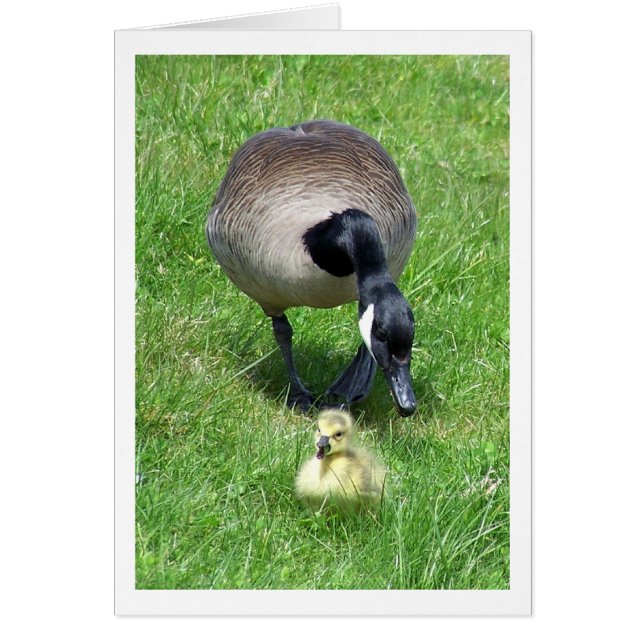 L'agitation (Devant)