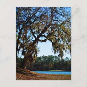 Lago Livingston, Postkarte 2