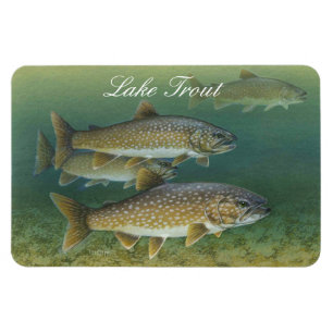 Lago Trout Painting Magnet