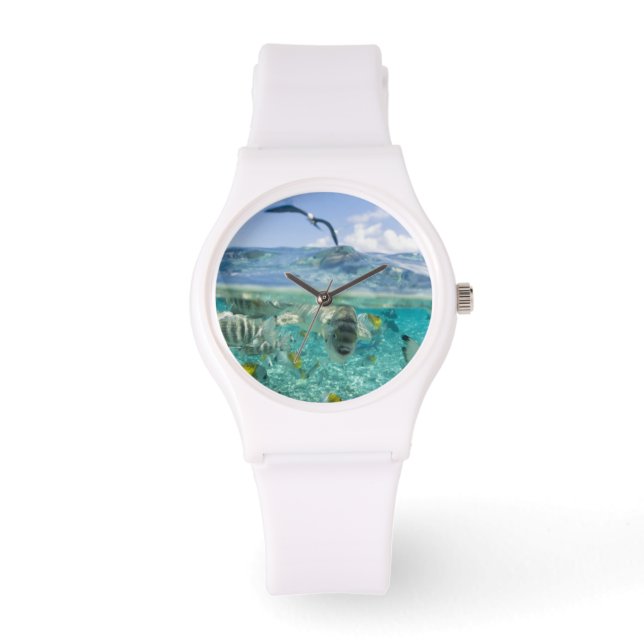 Lagoon Safari mit Stingrochen Armbanduhr (Vorderseite)