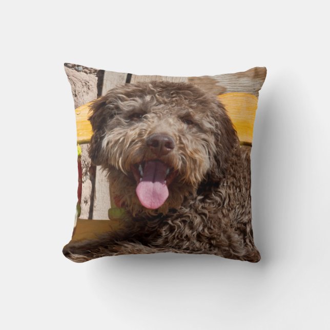 Lagotto Romagnolo auf einer Holzbank Kissen (Vorderseite)