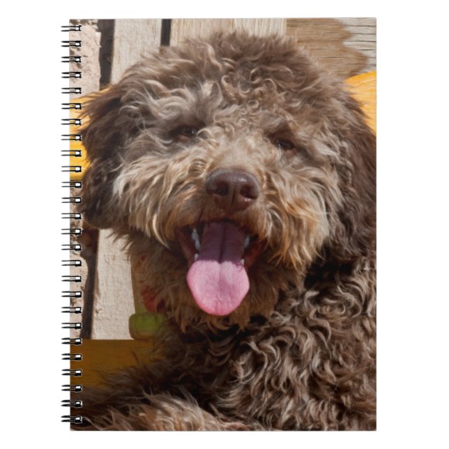 Lagotto Romagnolo auf einer Holzbank Notizblock (Vorderseite)