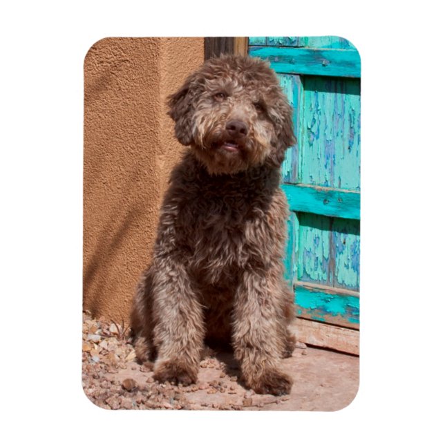 Lagotto Romagnolo durch eine blaue Tür Gewartet Magnet (Vertikal)