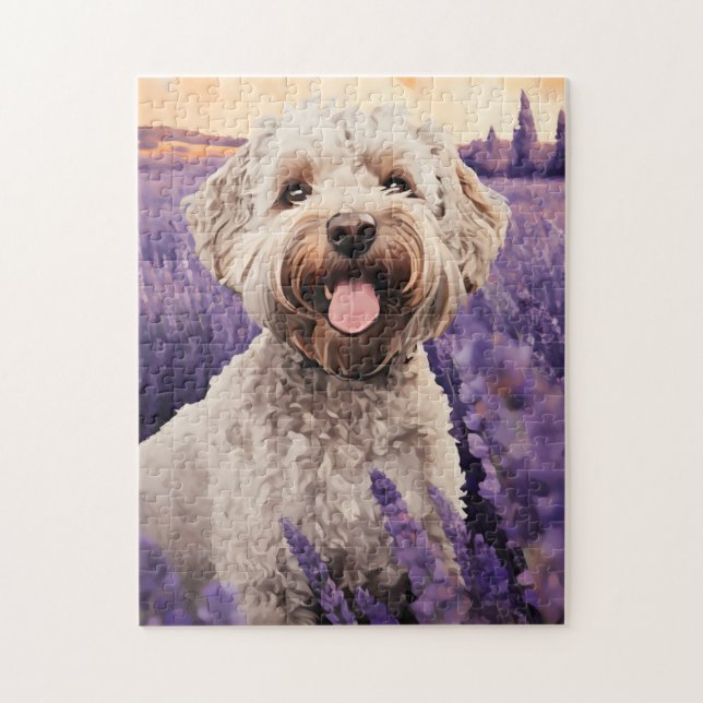 Lagotto Romagnolo in Lavender field (Vertikal)