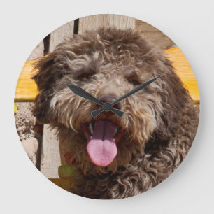 Lagotto Romagnolo liegt auf einer Holzbank Große Wanduhr