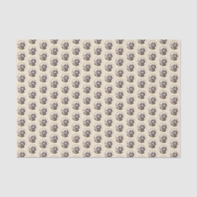 Lagotto Romagnolo Malerei - Niedliches Original Hu Seidenpapier (Vorderseite)