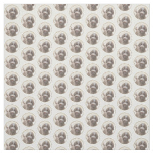 Lagotto Romagnolo Malerei - Niedliches Original Hu Stoff