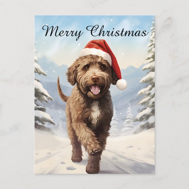 Lagotto Romagnolo Weihnachten (Vorderseite)
