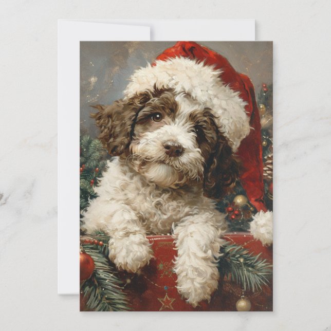 Lagotto Romagnolo Weihnachten (Vorderseite)