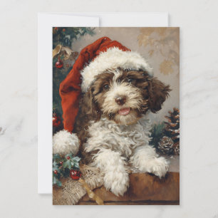 Lagotto Romagnolo Weihnachten