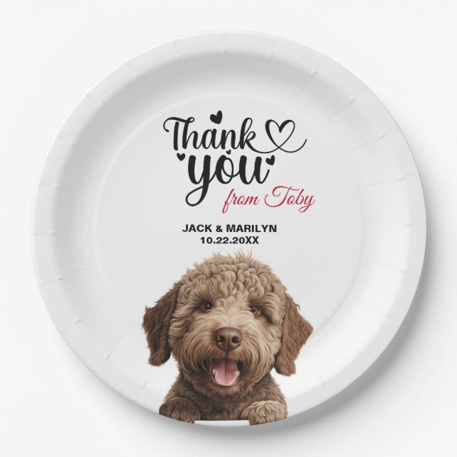 Lagotto Romagnoto Dog Pappteller (Vorderseite)