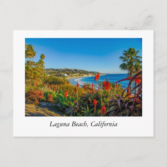 Laguna Beach California Postkarte (Vorderseite)