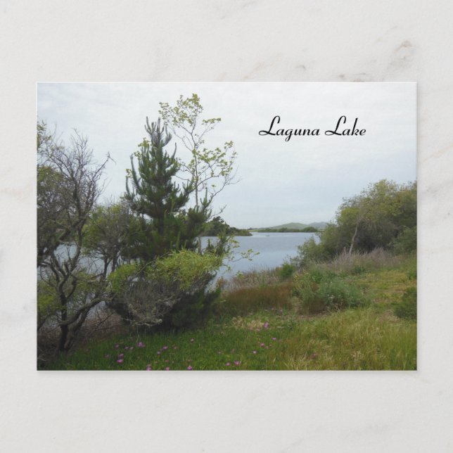 Laguna Lake, San Luis Obispo, nach Rain Postkarte (Vorderseite)
