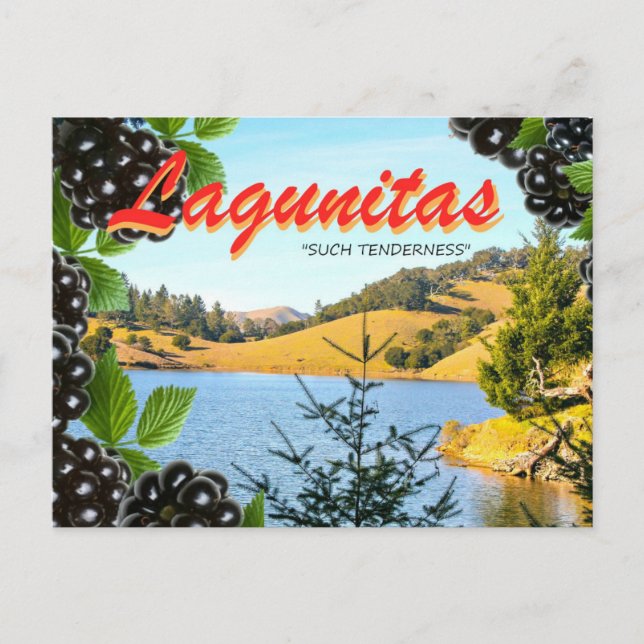 Lagunitas, "Derart Tenderness" (Hass, nimm 2) Postkarte (Vorderseite)