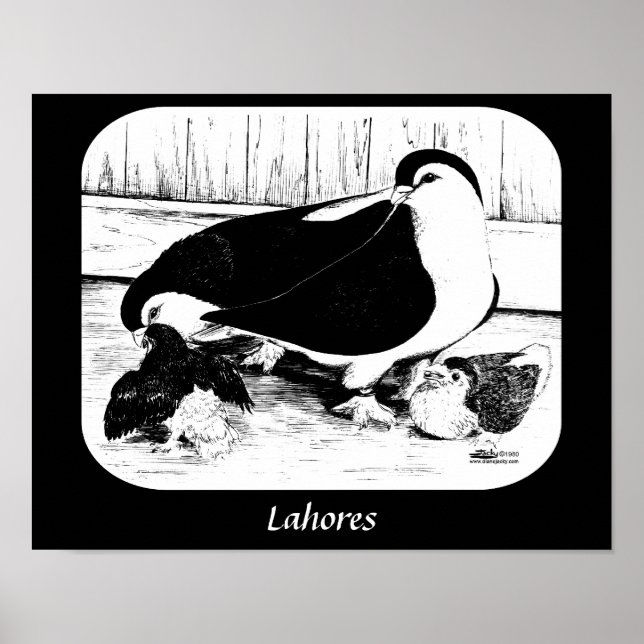 Lahores Poster (Vorne)