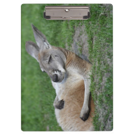 Laid-back Kangaroo Klemmbrett