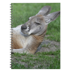 Laid-back Kangaroo Notizblock