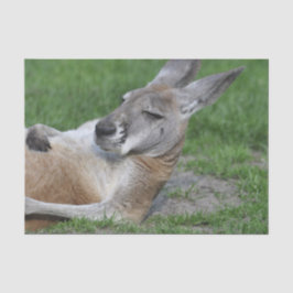 Laid-back Kangaroo Seidenpapier