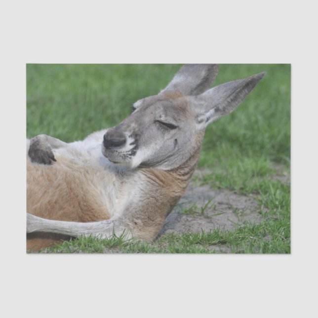 Laid-back Kangaroo Seidenpapier (Vorderseite)