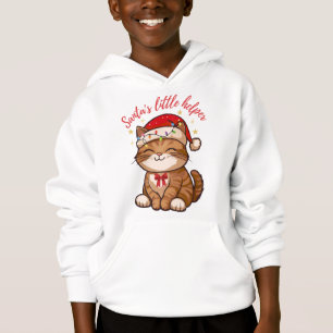 L'aide de Noël du Père Noël Chat