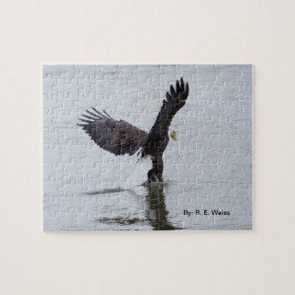 L'aigle de puzzle semble marcher sur l'eau