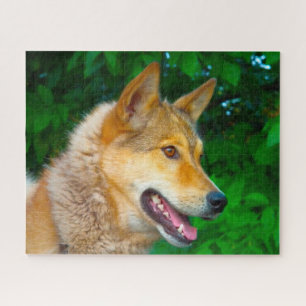 Laika Hunde Puzzles.