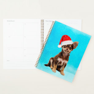 Laisser neiger Noël Chihuahua Chig porter le Casqu
