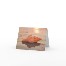 Laisser un peu Sparkle Horse conch carte Shell