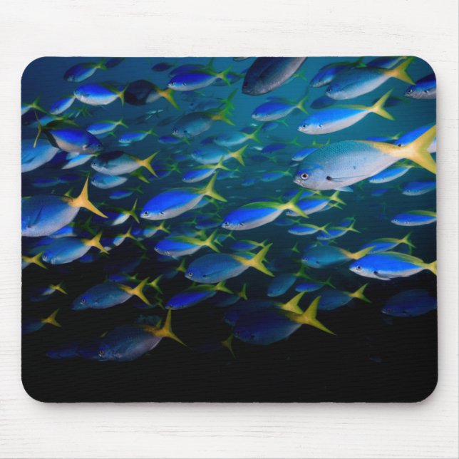 Laja Ampat Unterwasser5 Mousepad (Vorne)