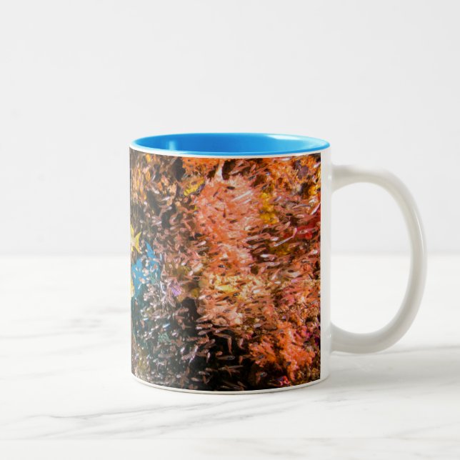 Laja Ampat Unterwasser6 Zweifarbige Tasse (Rechts)