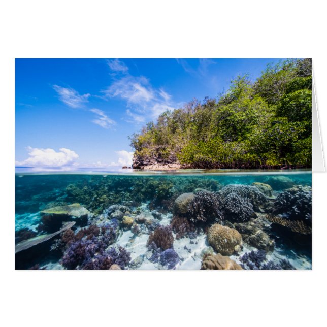Laja Ampat Unterwasser 2 (Vorderseite (Horizontal))