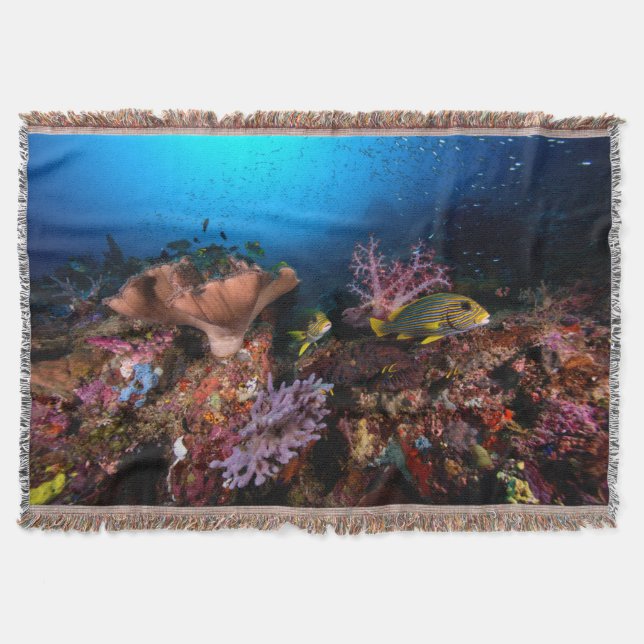 Laja Ampat Unterwasser Decke (Vorderseite)