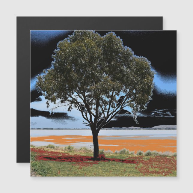 Lake Beac Solo Tree Magnetkarte (Vorne/Hinten)