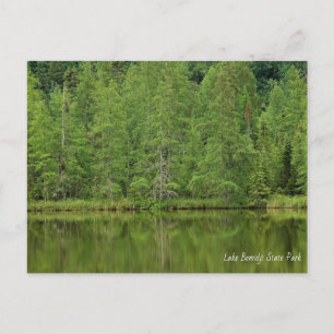 Lake Bemidji Staat Park Postcard Postkarte